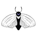 conheça as mostras artísticas