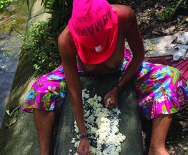 Bio anti-Terrorismo Beijú (2018)