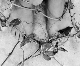 Encruzilhada de Rezo